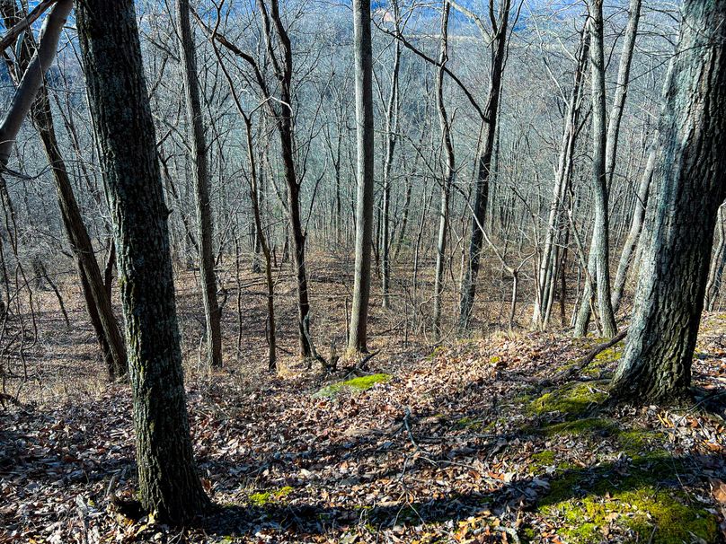 Braxton, WV 148.12 AC Smith-45