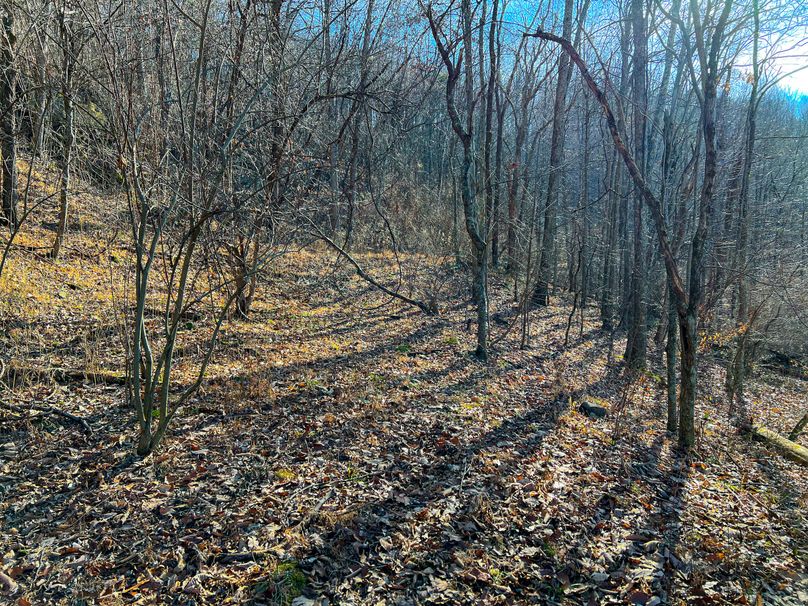 Braxton, WV 148.12 AC Smith-46
