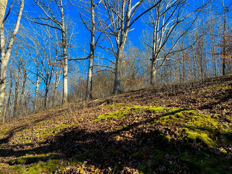 Braxton, WV 148.12 AC Smith-10