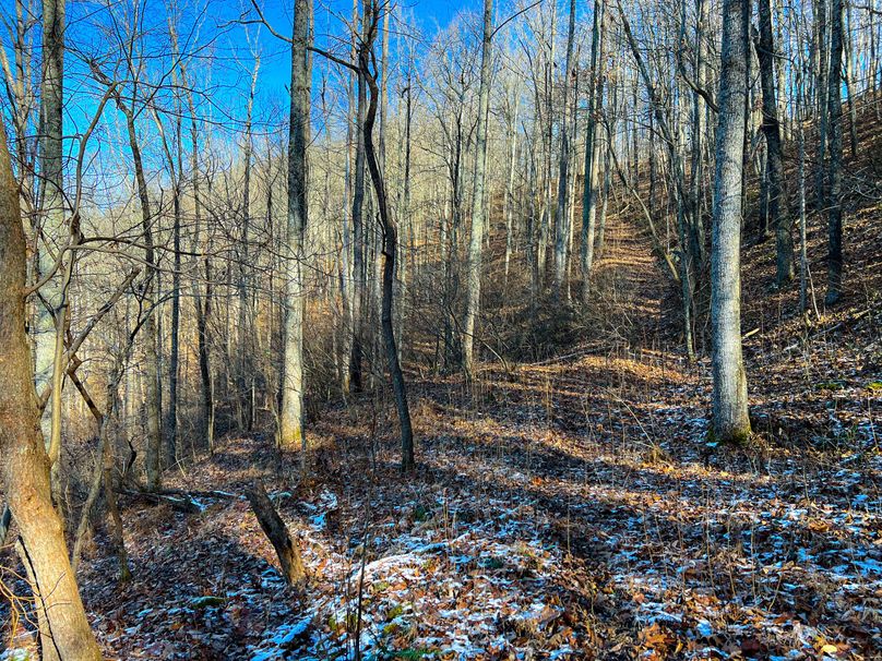 Braxton, WV 148.12 AC Smith-39