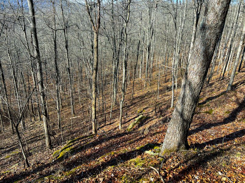 Braxton, WV 148.12 AC Smith-50