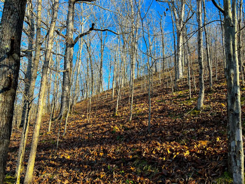 Braxton, WV 148.12 AC Smith-09