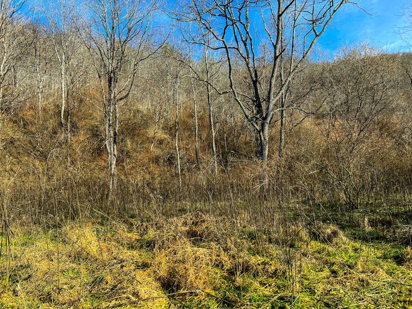 Braxton, WV 148.12 AC Smith-64