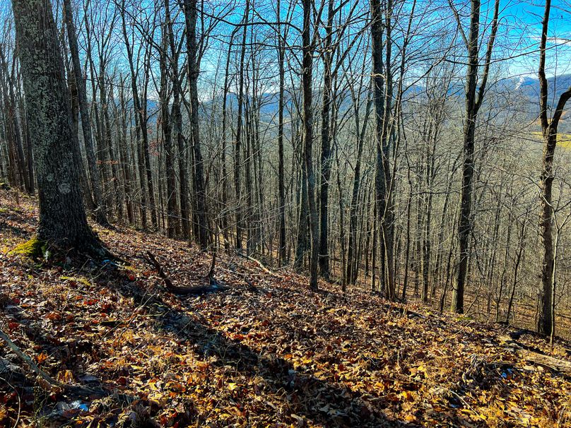 Braxton, WV 148.12 AC Smith-27