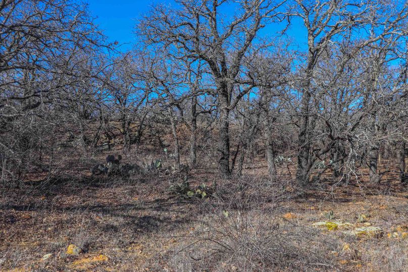 Eastland County 150-08