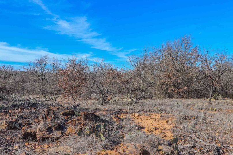 Eastland County 150-06