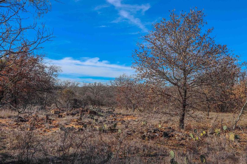 Eastland County 150-05