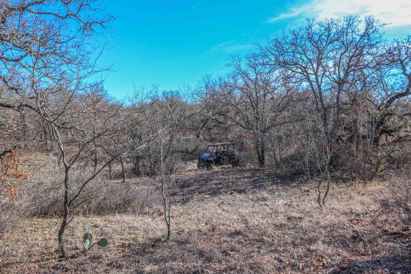 Eastland County 150-11