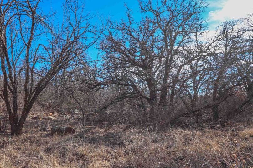 Eastland County 150-13