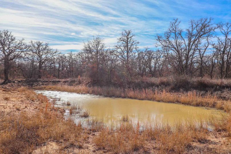 Eastland County 150-03