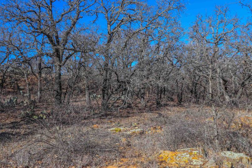 Eastland County 150-10