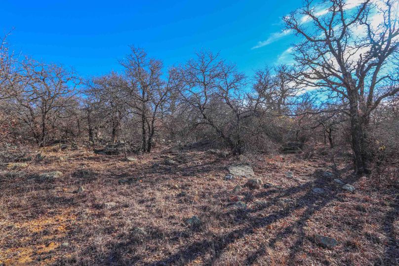 Eastland County 150-16