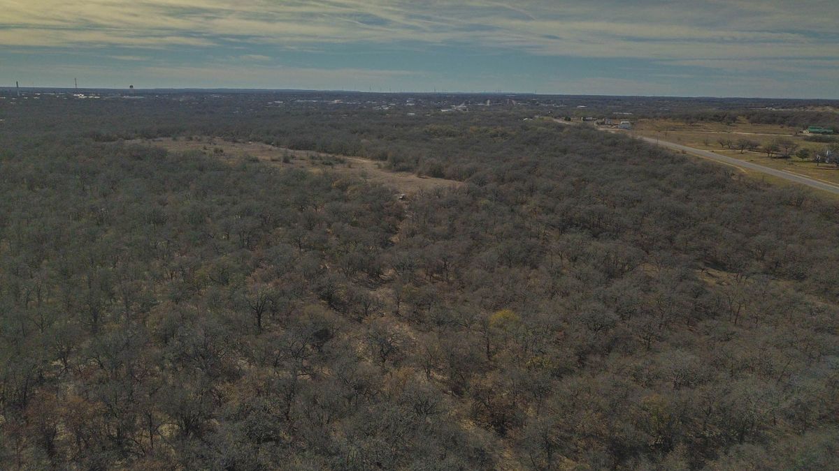 Circle M Ranch Whitetail Properties