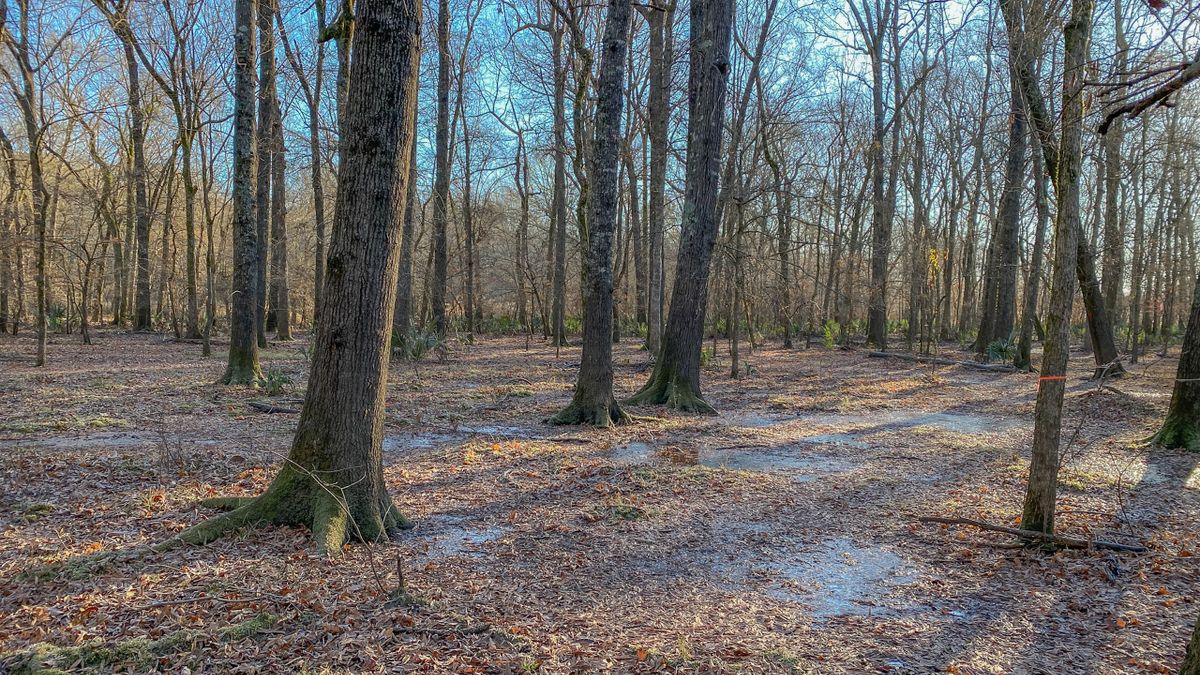 Duck And Deer Hunting Property With A Great Home Spot Whitetail