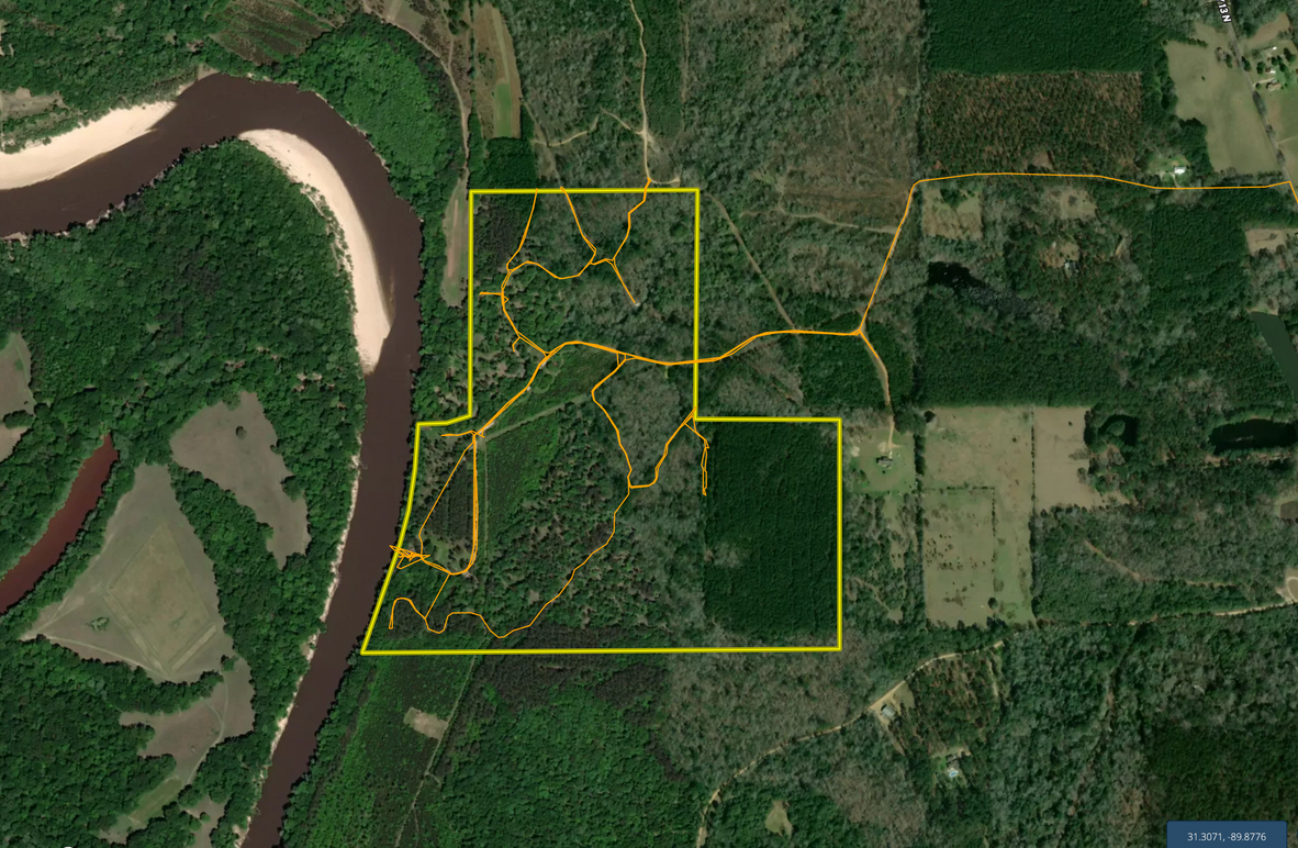 Screen Shot 2022-11-21 at 11.03.43 PM