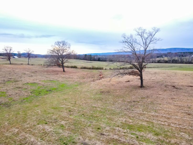 3263A910-F032-42AD-ABD9-326EB2633389