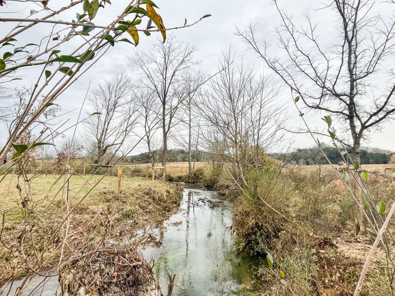 Copy of C788ED0D-2F4E-43D3-ABF5-79D663B7859D