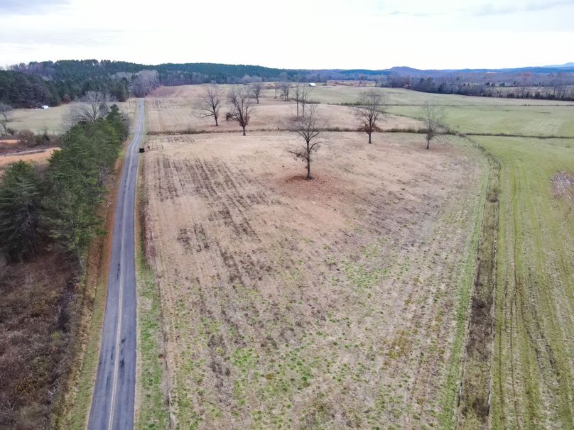 C227E34A-F499-4FF5-970B-9474BA0DB1F6