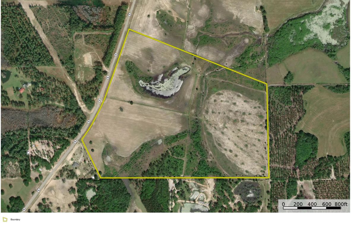 Aerial #1 Approx 91 Acres Covington County, AL Adams-page-0