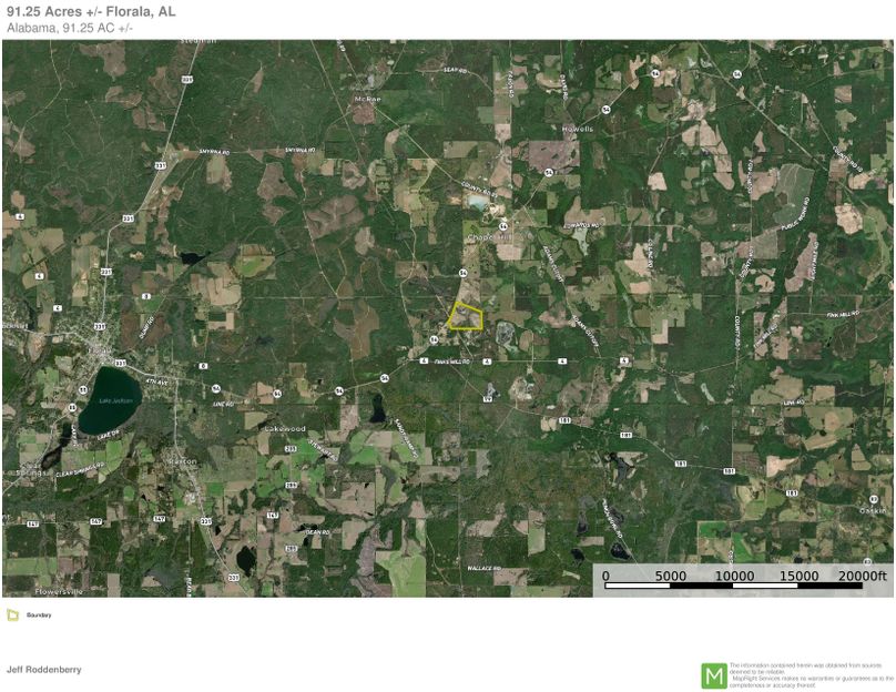 Aerial #2 Approx 91 Acres Covington County, AL Adams-page-0