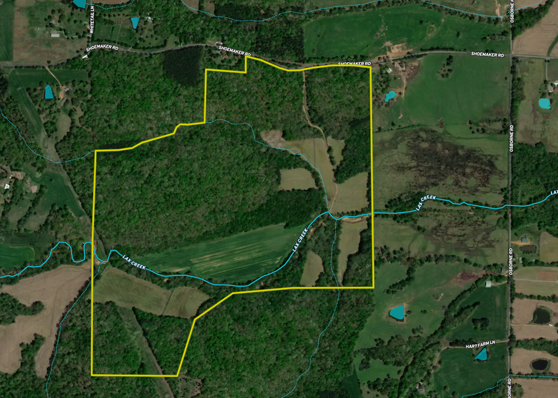 Screen Shot 2023-01-02 at 8.11.26 AM