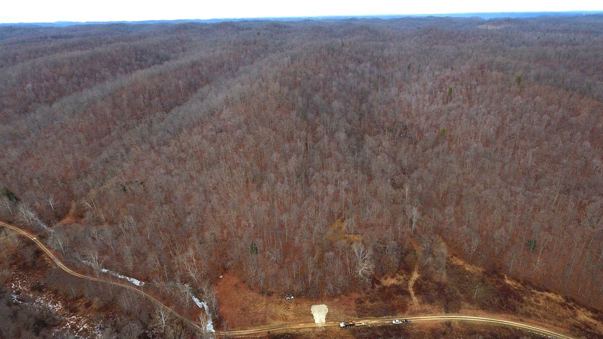 Large Hunting And Timber Investment Property In Northeast KY