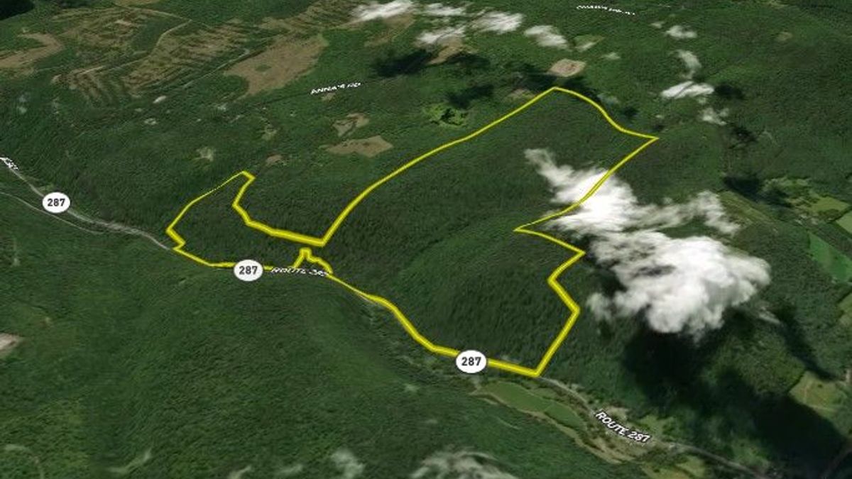 Large Timber Tract With OGM Rights In North Central PA | Whitetail ...