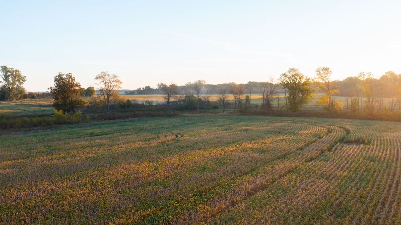 DJI_0638 - Copy - Copy