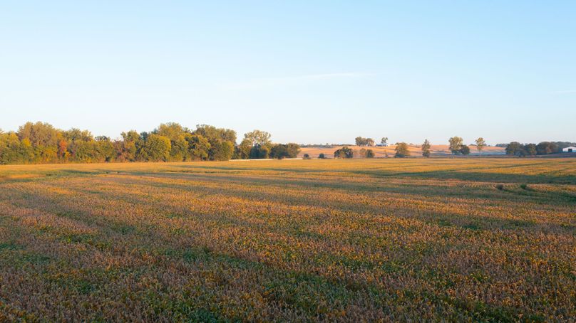 DJI_0640 - Copy - Copy