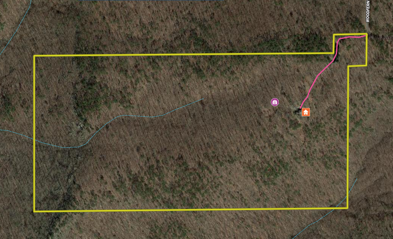 Screen Shot 2023-01-11 at 10.56.51 AM