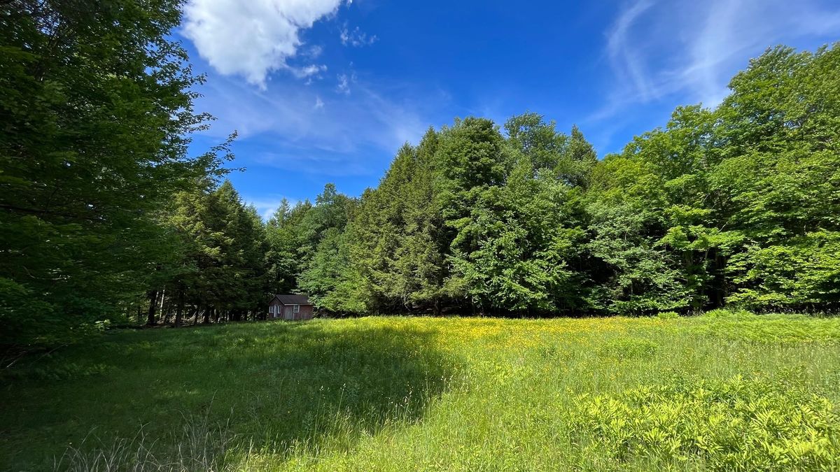 Scenic Property With Pond, Stream And Cabin Near New Albion, NY