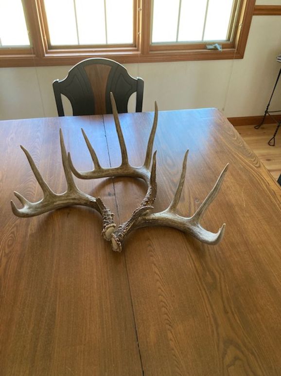 66708443119__57587266-C9FA-4A94-BC78-B9F9E7F8F076