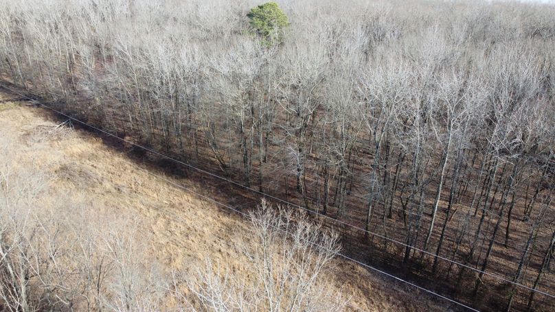 DJI_0803