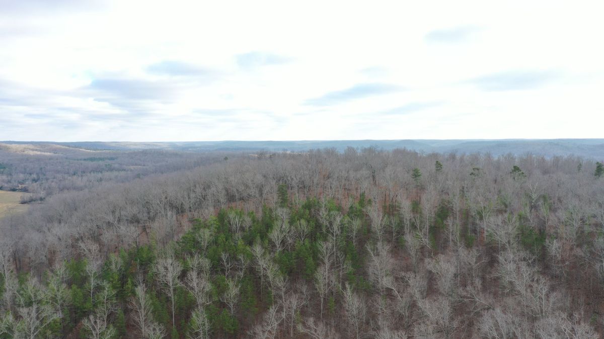 Remote Hunting And Recreational Farm Whitetail Properties