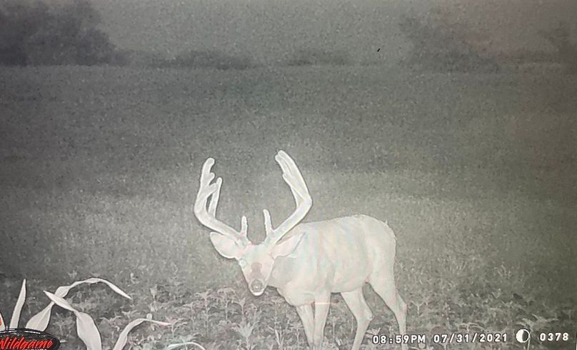 65042379514__AE0B8A5A-FF36-4A62-8023-3902A3557968