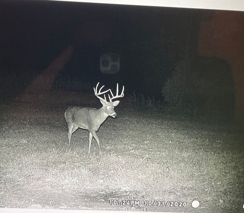 62994889966__402A804B-2826-4F57-ABA2-F8F77371B9A0