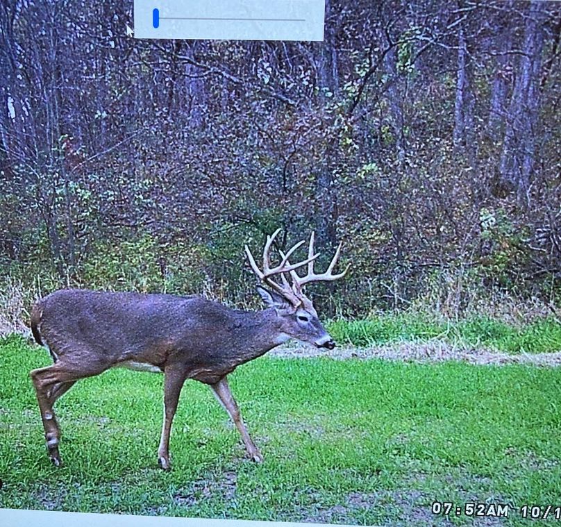 62543404594__303CCD43-E201-4032-9AF4-28DB7A3F3E22