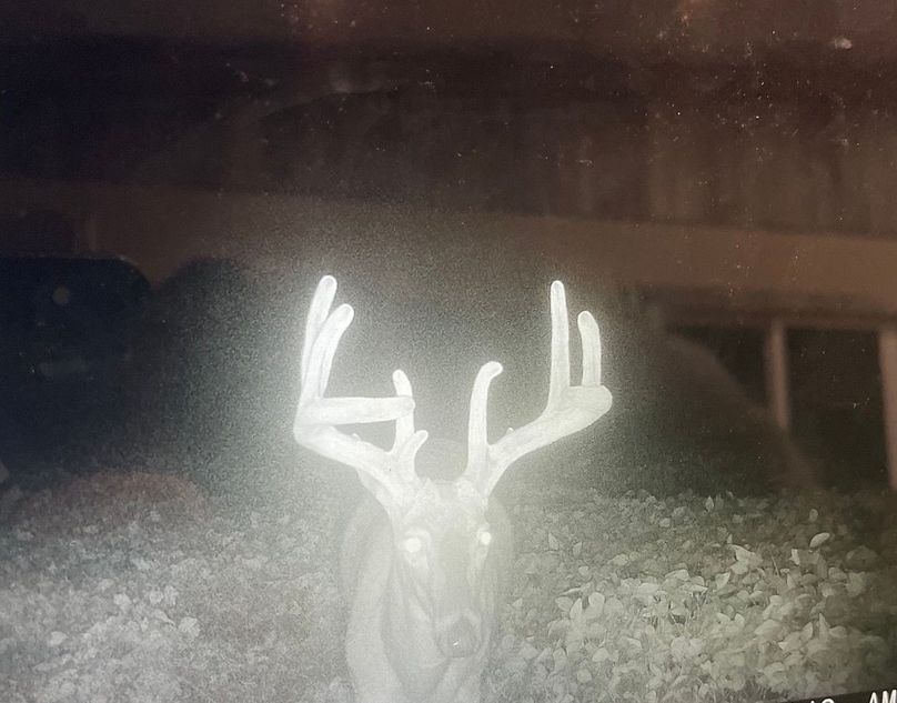 65163636612__54531BC4-D361-43B5-B8F5-23329FD0CC19