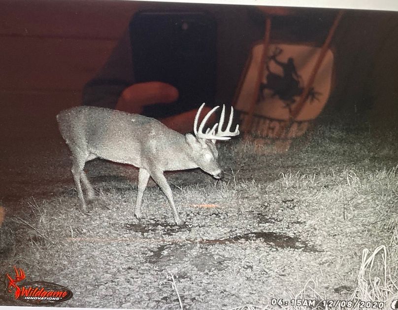 63262085577__44AA3D8B-4556-4867-8116-B69035C2A45D