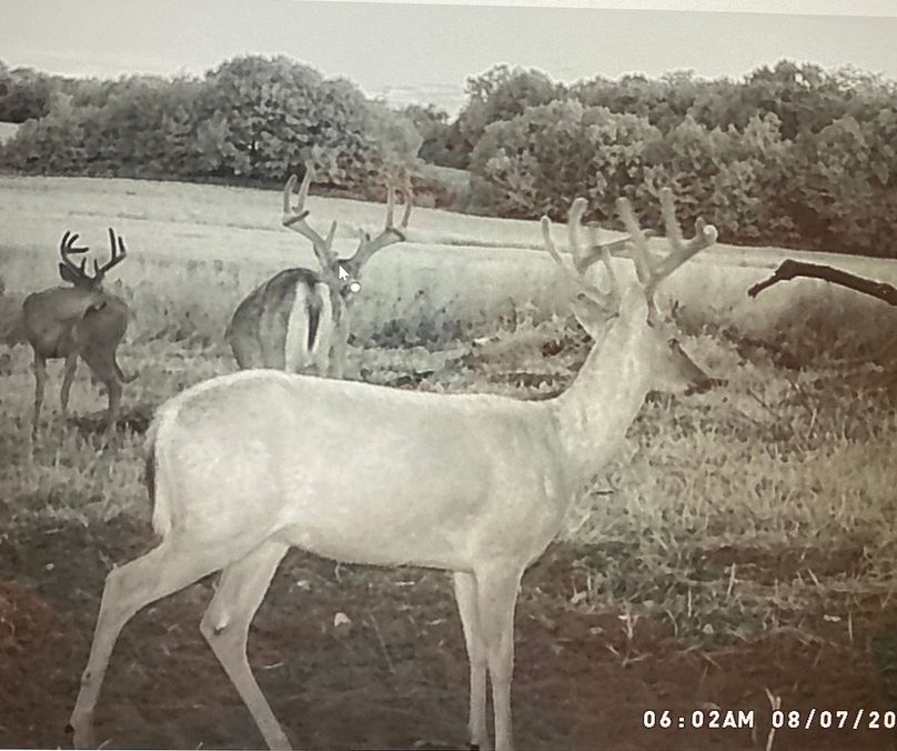 61888858264__D47F714E-029A-4EA8-B975-590EE5453207