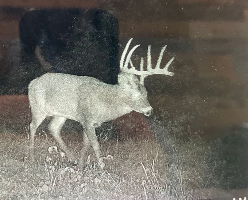 65930574437__180797F7-33AE-40BE-AB5E-B9ABEA517B06