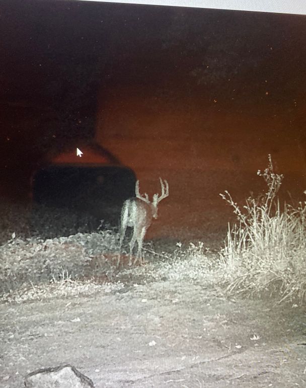 61888836653__B2ED0C0D-5B6A-4714-A248-E30FDC75DC98