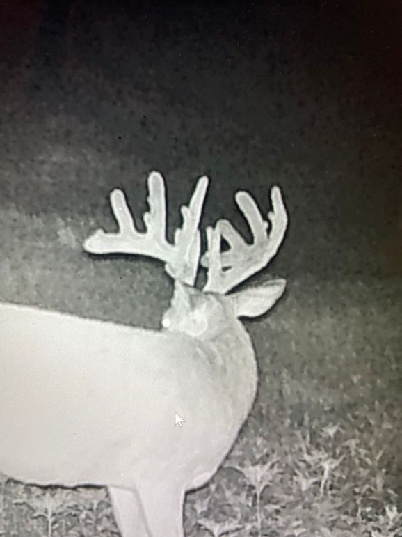 65042412548__11803055-9250-4FF4-9C5B-890309A0D64C