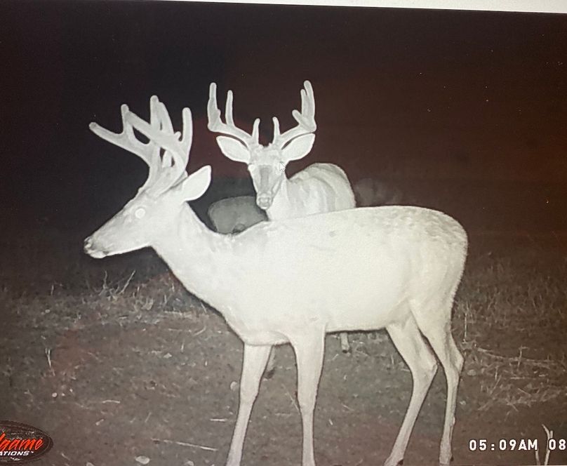 61888849998__884516C1-69EE-4B0D-95DF-4C7DDD1387C4