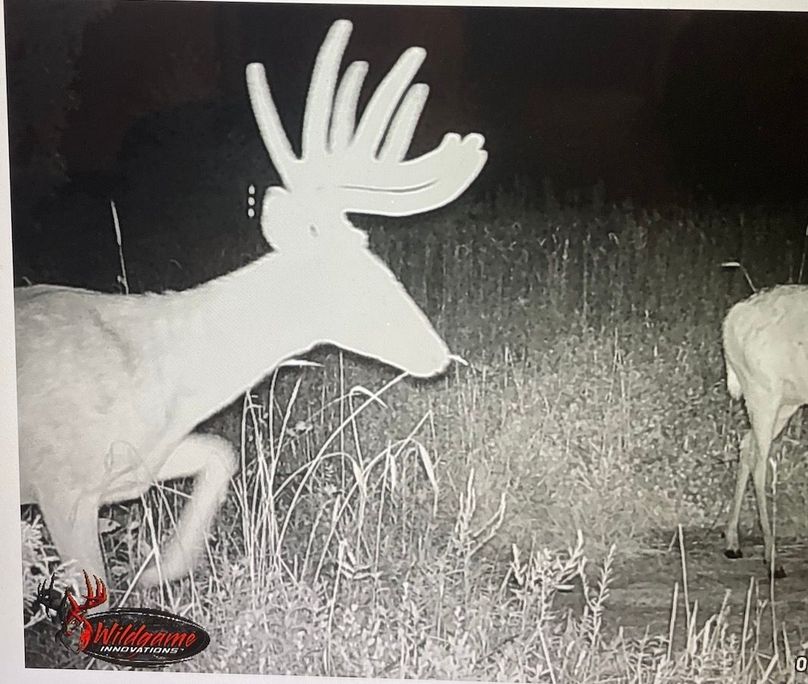 65163552883__9E87BCBD-D3B9-4B7D-8AD8-1AE03CA147D9