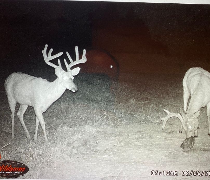 61888839773__65BBAB58-B930-4CD1-88F8-8D6238AF2AF9