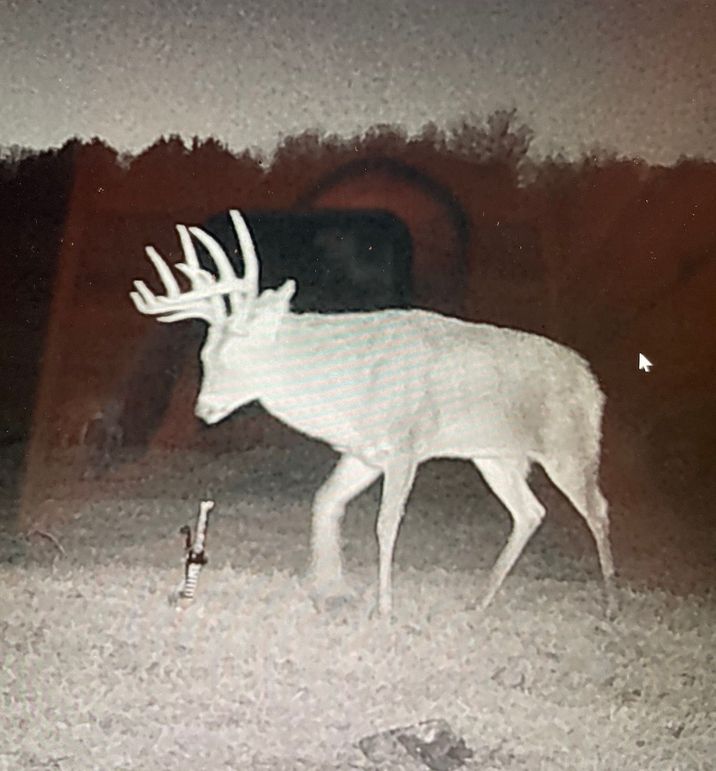 62846076319__BF590EA5-1614-44DE-933E-922328F58DD8