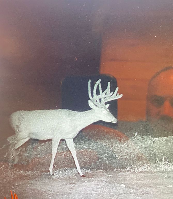 61888833943__119FCA7B-235E-4BF0-A3EB-53A59572D168