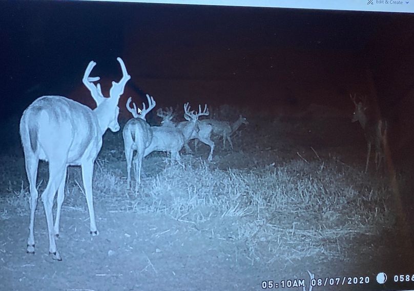 61888851554__51D35C12-6CB4-4001-A5C3-EFA2E39E14B5