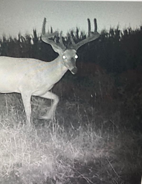 64922083762__B0C0A345-9550-4517-81D4-306F58606A85